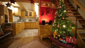 Kuchyň nebo kuchyňský kout v ubytování Rosi´s Häusle Schwarzwald / Terasse mit Garten