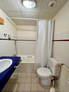 ein Badezimmer mit Toilette und Waschbecken in der Unterkunft Second de Cordée in Combloux + 3 Fotos