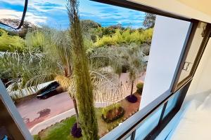 een uitzicht vanuit het raam van een kamer met een palmboom bij Studio ao lado do Parque da Cidade - Brasília in Brasilia