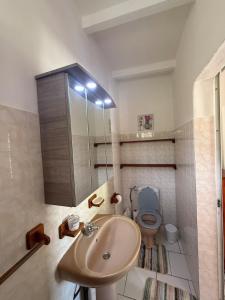 a bathroom with a sink and a toilet at Kaz à Zozio - F2 au calme à Bouillante in Bouillante +13 photos