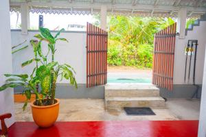 a room with a potted plant and a pool at The Mango House Ahangama in Ahangama