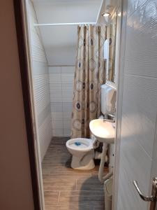 a bathroom with a toilet and a sink at Ur Njam-Njam in Vrnjačka Banja