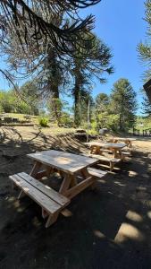 Trois tables de pique-nique dans un parc sous un arbre dans l'établissement Alojamientos Titin, à Villa Pehuenia 10 autres photos