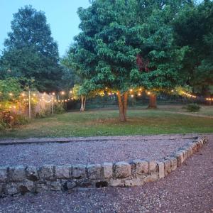 a tree with lights in a park at night at Au Coeur du Verger in Thiescourt
