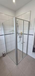 a bathroom with a shower with a glass door at Bicycle Lodge in Rehlingen-Siersburg +15 photos