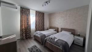 a bedroom with two beds and a window at Casa Medeea in Podu Turcului