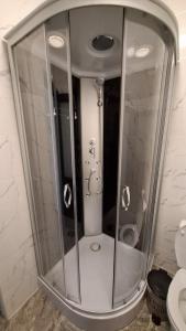 a glass shower in a bathroom with a toilet at Casa Medeea in Podu Turcului
