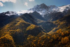 a mountain valley with trees and snow covered mountains at K7- Bunker in Kapan