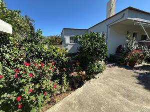 a garden of roses in front of a house at Canka Guest House in Përmet