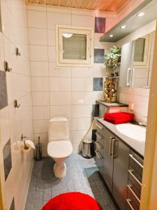 a bathroom with a toilet and a sink at House at the Arctic Circle- next to Santa Claus in Rovaniemi