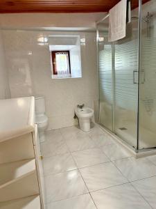 カランサにあるArbide, caserio tradicional vasco en Carranzaのトイレとシャワー付きのバスルーム