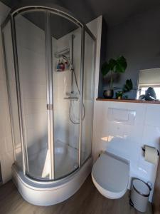 une salle de bain avec douche et toilettes dans l'établissement sonniges Dachgeschoss am münchner Stadtrand, à Neubiberg