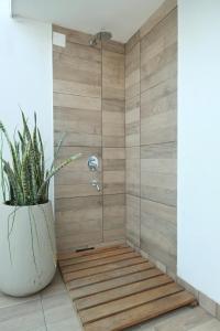 a bathroom with a shower with a plant at Augusta 8 in Salta +65 photos