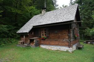a log cabin in the grass with flowers on it at Almhütte Groß Frondell in Kötschach