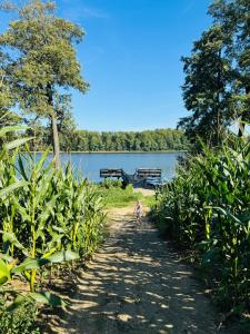 Fotografie z fotogalerie ubytování Drewniany domek nad jeziorem! Posesja ogrodzona! Na wyłączność! v destinaci Liksajny