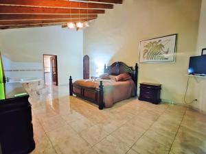 a bedroom with a bed and a tv in a room at Elegant 7BRVilla in Cabarete, Whirlpool, Pool, Beach, Adventure! in Cabarete