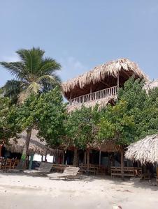 a resort on the beach with chairs and a palm tree at Cabaña Villa Eugenia in Rincón