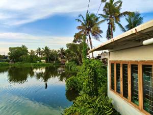 a view of a river from a building at Louis Backpackers Hostel in Cochin +32 photos