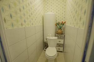 a bathroom with a white toilet in a room at La petite maison rose in Saint-Mards-en-Othe +5 photos