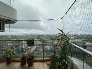 Fotografie z fotogalerie ubytování Staeg Social Gateway 3BHK v destinaci Indaur