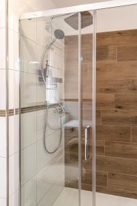 a shower with a glass door in a bathroom at Holiday & Stay, Blautopf Apartments in Blaubeuren +64 photos