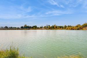 Fotografie z fotogalerie ubytování Lakeshore Retreat v destinaci Centralia