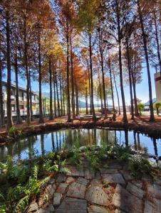 a pond in the middle of a park with trees at 寵物友善 漫步森活 九樺落羽松民宿 in Guoxing