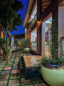 Un jardín fuera de Cozy Safari