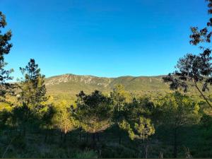 a view of a forest with mountains in the background at YMCA Camp Alambre in Azeitao