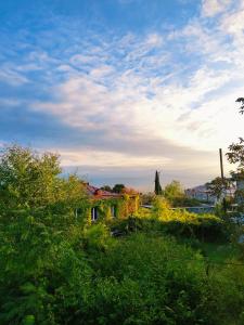 Φυσικό τοπίο κοντά σε αυτός ο ξενώνας