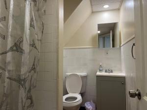 a bathroom with a toilet and a shower curtain at Cozy Efficiency Room WalktoUHS, near BU Guthrie in Johnson City