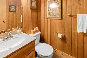 a bathroom with a white toilet and a sink at Shamrock 74 in Snowshoe