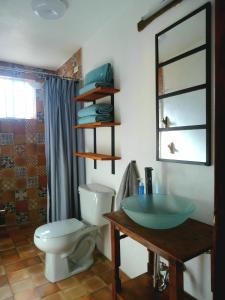 ein Badezimmer mit Toilette und Glaswaschbecken in der Unterkunft El Bello Jardín de Chela in Guanajuato