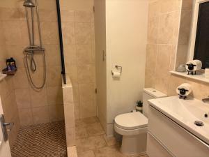 a bathroom with a shower and a toilet and a sink at Flat 1. Cleethorpes apts in Cleethorpes +21 photos