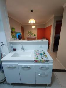 een badkamer met een witte wastafel en een aanrecht bij Apartamento aconchegante e tranquilo Suzano in Suzano +14 foto's