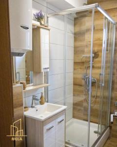 a bathroom with a shower and a sink at Apartman Nela 2 Jahorina in Jahorina