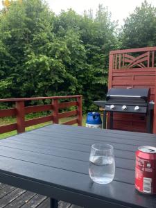 a picnic table with a grill and a glass of water at Ålevænget 1 in Gedsted