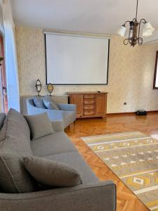 ein Wohnzimmer mit einem Sofa und einer Leinwand in der Unterkunft Villa Maria in Ðenovići