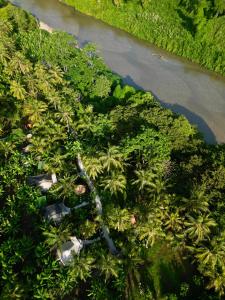 an aerial view of a river with palm trees at Nómada Tayrona - Riverside Suites in Los Naranjos