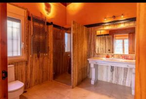 a bathroom with a shower and a toilet and a sink at Finca el descanso manchego in Fuente de Pedro Naharro