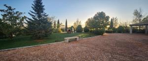 a park with a bench in the middle of a yard at Finca el descanso manchego in Fuente de Pedro Naharro +7 photos