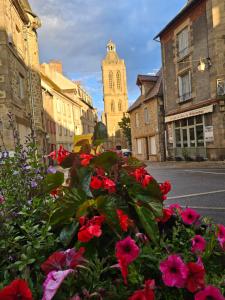 un groupe de fleurs dans une ville avec une tour d'horloge dans l'établissement L Alphonse, à Felletin