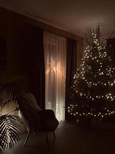 Φωτογραφία από το άλμπουμ του Brīvdienu māja & pirts meža vidū - Saraiķu Sanderi σε Saraiķi