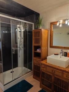 a bathroom with a shower and a sink and a mirror at Le Balcon de Juliette in Vuillafans +18 photos