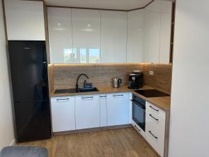 Η κουζίνα ή μικρή κουζίνα στο Apartament Rzemieślnicza Premium