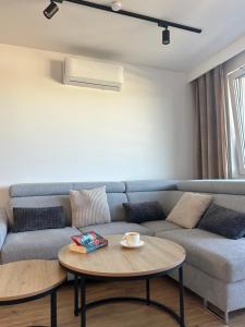 Χώρος καθιστικού στο Apartament Rzemieślnicza Premium
