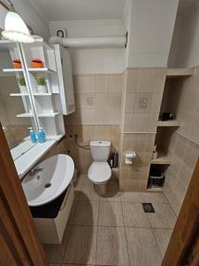 a bathroom with a white toilet and a sink at Lagom Apartman in Gyula +20 photos