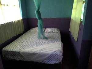 Gallery image of Malibú in Moyogalpa