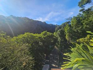 a path in the middle of a forest of trees at Apartamento Charme e Aconchego da Serra in Petrópolis