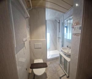 a bathroom with a toilet and a sink at Monteurwohnung 2 Vollumen in Redwitz an der Rodach